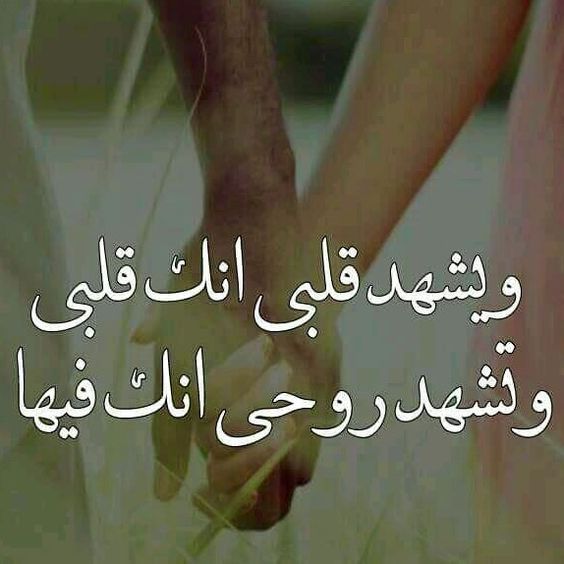 خلفيات حب رومانسية