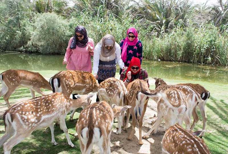 أفكار خروجات مجنونة