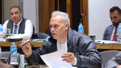 المهندس الاستشاري علاء أنور